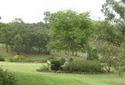 Boonah VICresidential-landscaping-40.jpg; ?>